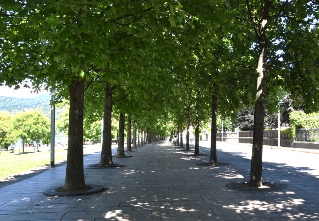 Appartamento a Luino - Isola dei fiori Apartment  Appartamento a Luino - Isola dei fiori Apartment