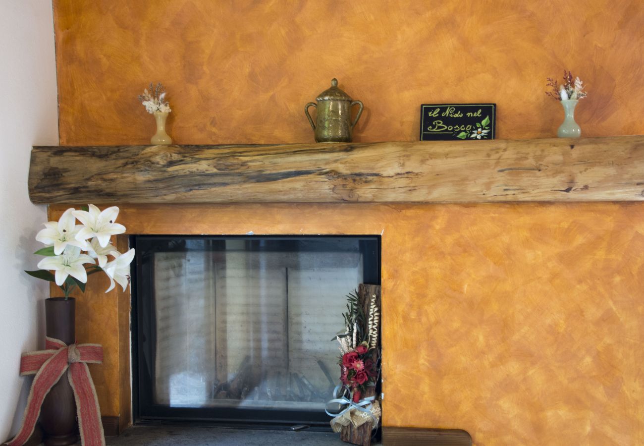 Villa a Montegrino Valtravaglia - Villa 