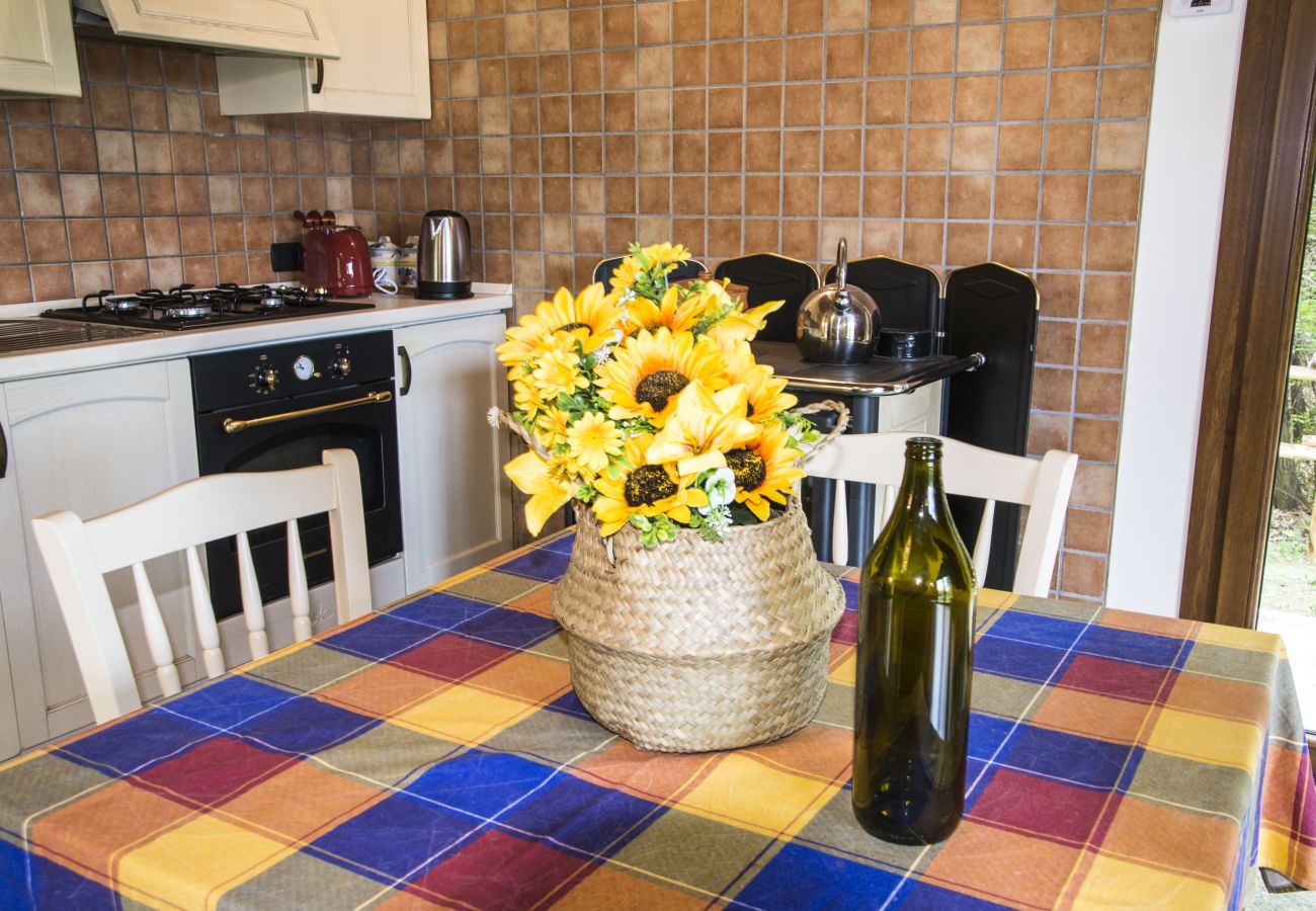 Villa a Montegrino Valtravaglia - Villa 