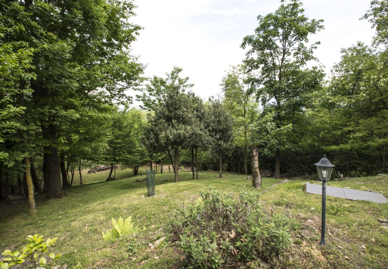 Villa a Montegrino Valtravaglia - Villa 