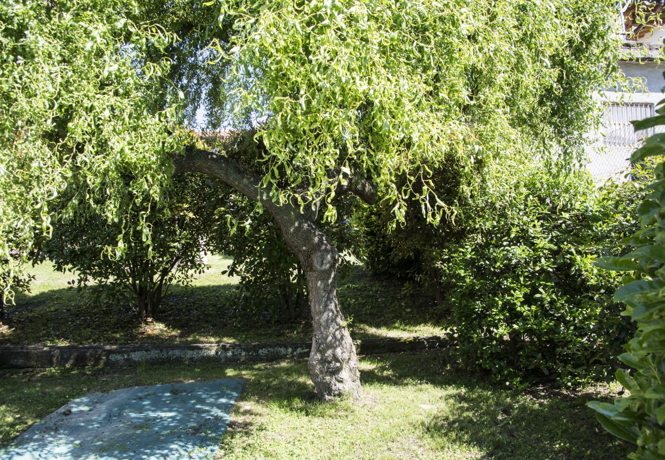 Ferienwohnung in Luino - La Piccola Casa